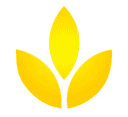 Internship Logo
